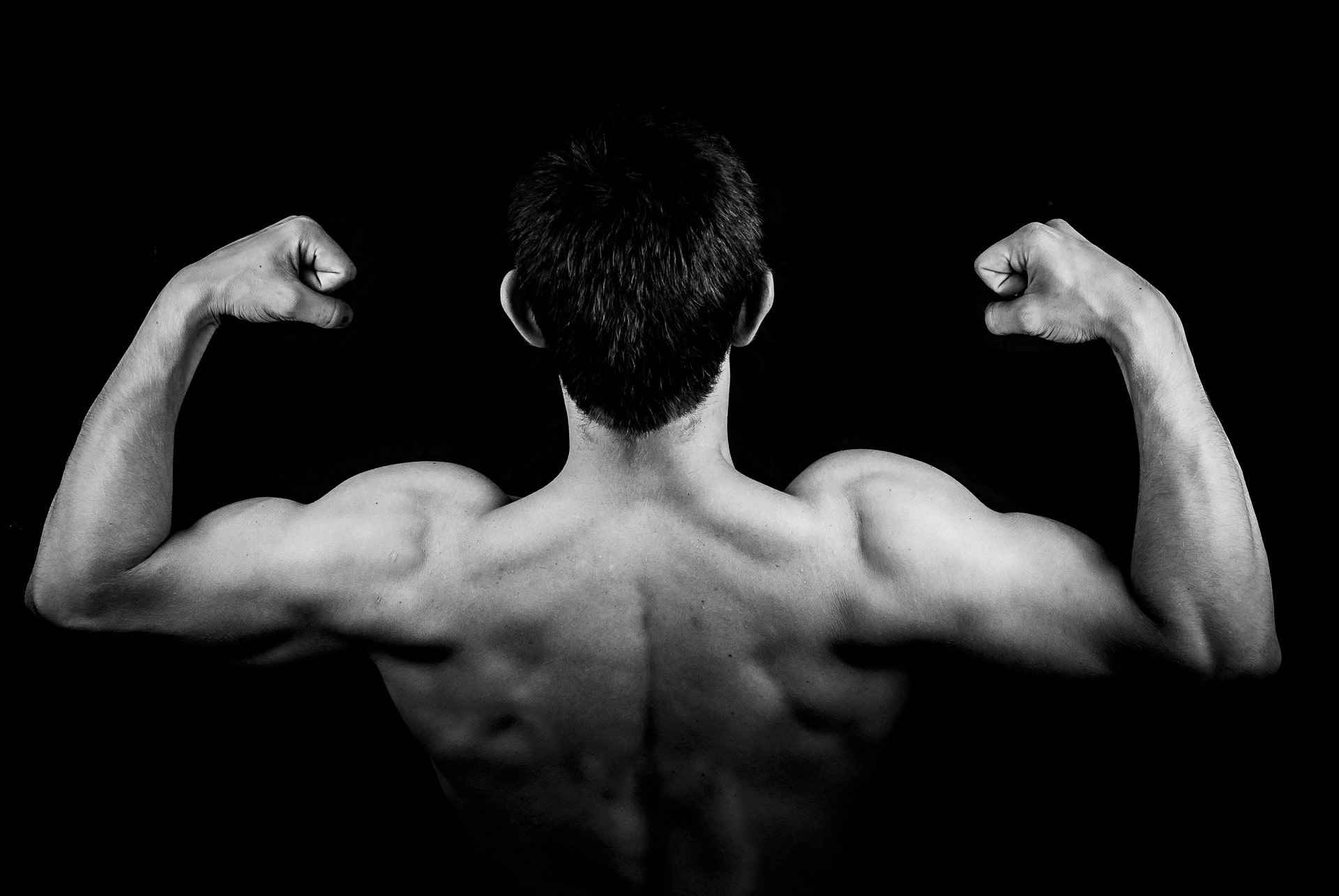 Beginner Home Workouts That Require No Equipment